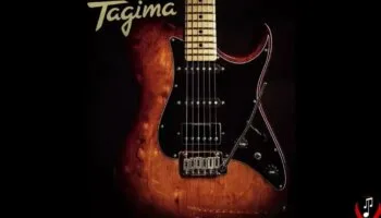 Marca Tagima: do cenário brasileiro para o mundo