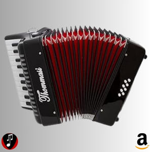comprar Acordeon tocando com estilo