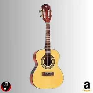 comprar cavaquinho tocando com estilo