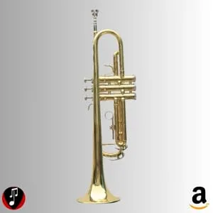 comprar trompete tocando com estilo