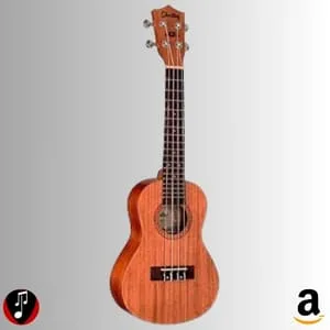 comprar ukulele tocando com estilo