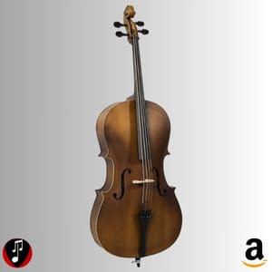 comprar violoncelo tocando com estilo