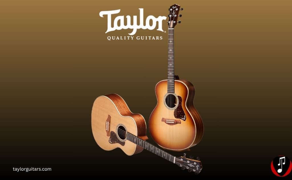 história marca de violão taylor tocando com estilo