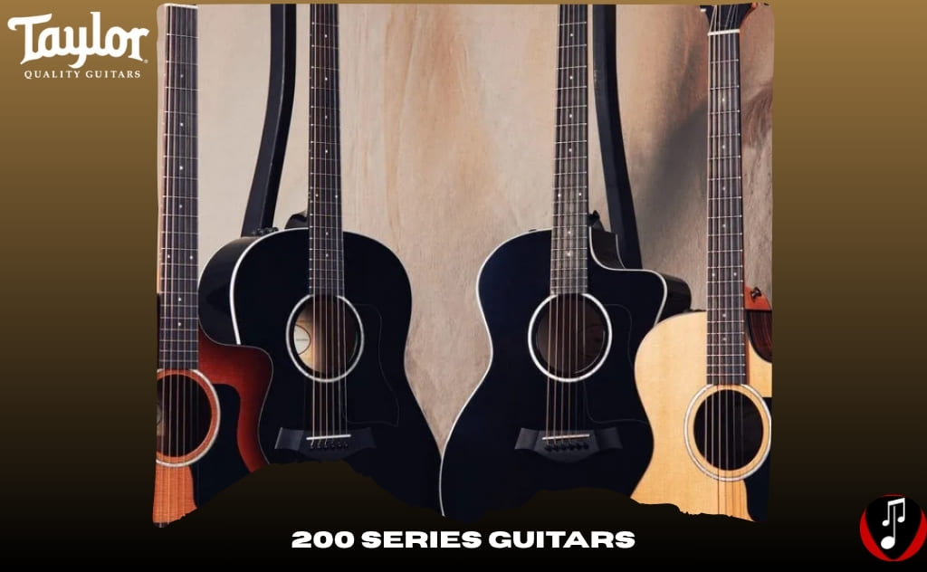 marcas de violão taylor tocando com estilo