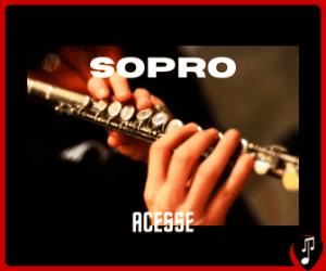 tocando com estilo cursos online intrumento sopro